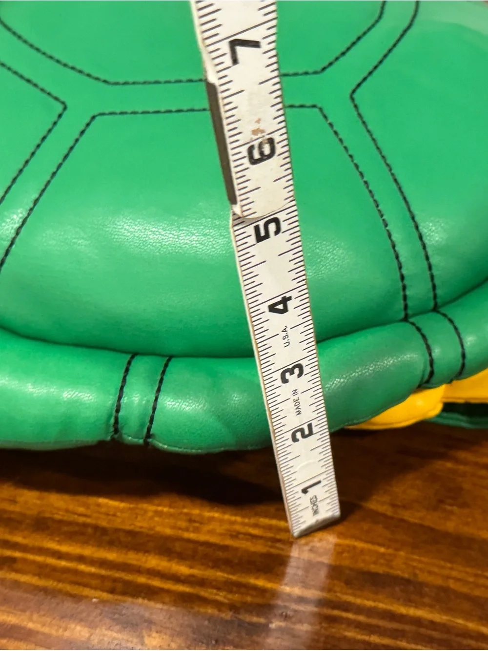 Teenage Mutant Ninja Turtles playful turtle